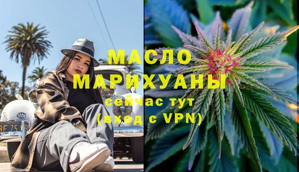 индика Елизово