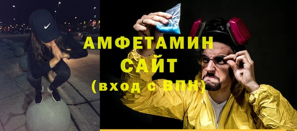 прущие крисы Ельня