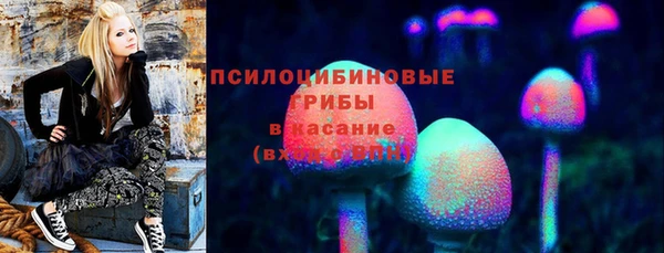 гидропоника Балабаново