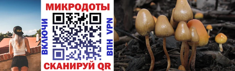 OMG онион  Семикаракорск  Псилоцибиновые грибы мухоморы 